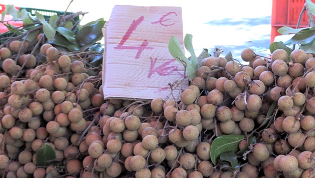 Letchis - Longanis - Marché - Le Port - La Réunion