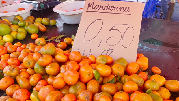 mandarine