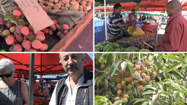 La Réunion : 12 euros/kilo pour déguster les premiers letchis !