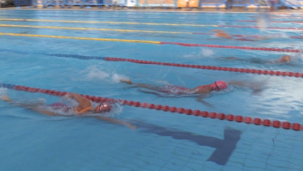 Meeting - natation - Saint-Denis - La Réunion