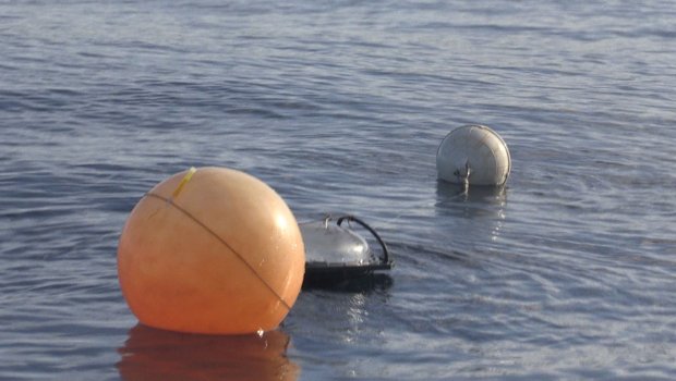 La pêche préventive à La Réunion, une pratique unique pour freiner le 