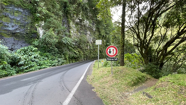 Route de Salazie : un touriste fait une chute mortelle en essayant de prendre une photo 