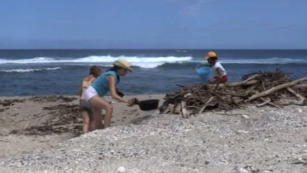 Nettoyage plage - Grand Fond - Réunion - Environnement