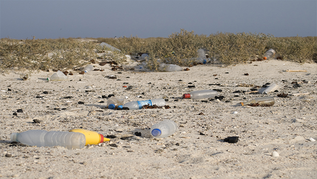 plage - déchets - journée mondiale de l’océan - ramassage de déchets