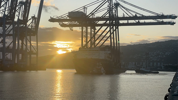 Le Port : deux portiques chinois débarquent à La Réunion 