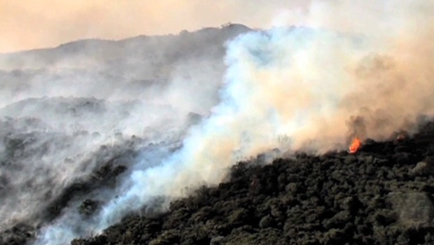 Incendie - Maïdo - La Réunion - Patrice Nirlo