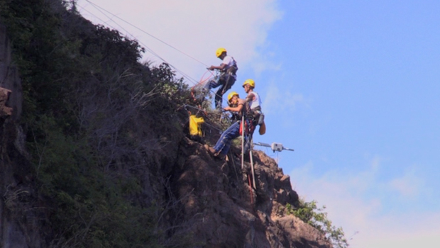 Route du Littoral - La Réunion - Purges