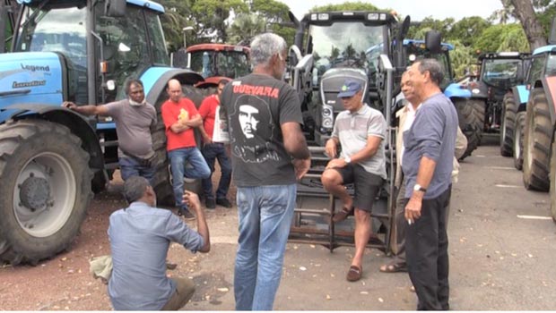 Regards planteurs - Crise canne - La Réunion