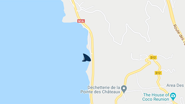 Saint-Leu : un requin observé ce matin au large de Petite Ravine