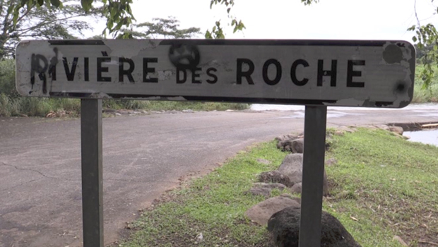 Rivière des Roches - Bassin La Paix - La Réunion