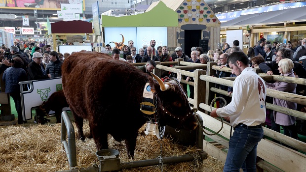 Salon de l’agriculture - Paris 