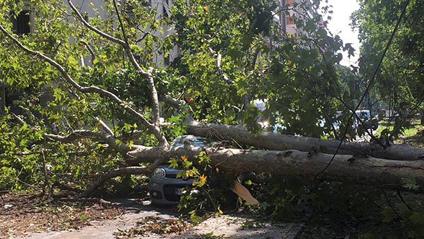 Entre tornades et grêles, l’Italie subit de fortes intempéries