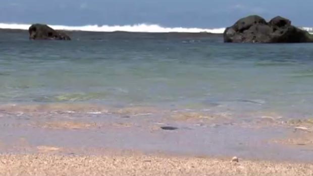 Plages - Météo - La Réunion 