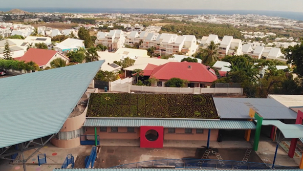 Toit végétal - innovation - La Possession - La Réunion 