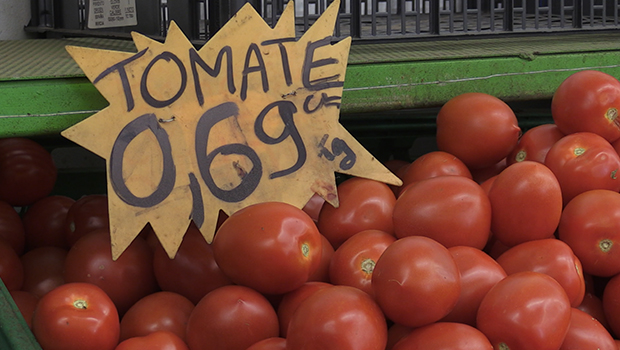 Tomate - La Réunion - Fruit - Légume - Agriculture - La Réunion