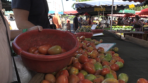 Tomates - marché