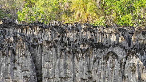 Tsingy de Bemaraha - Madagascar 