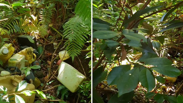 Bidons - pesticides - abandonnés - bassin Boeuf - La Réunion 