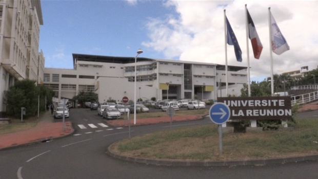 Université - La Réunion - état des lieux