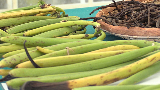 Fête de la vanille - Sainte-Suzanne - La Réunion