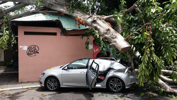 Voiture - Arbre - Bas de la Rivière - Tempête Carlos - La Réunion