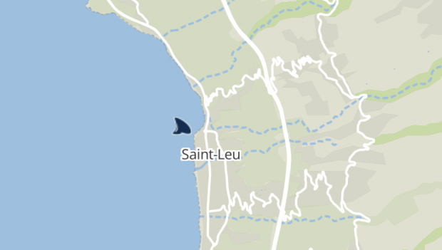 Requin - St-Leu - Surfeurs évacués 