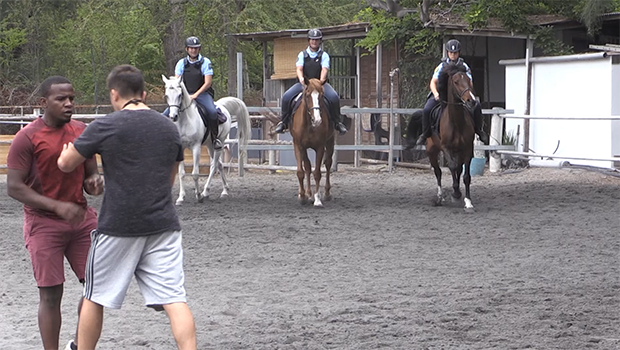 Formation à cheval pour les gendarmes