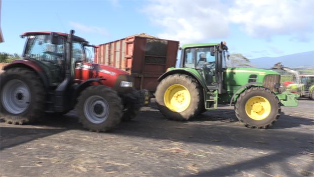 Tracteur - canne - sucrerie - cannes 