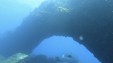 Une arche sous-marine en roches volcaniques, vieille de 10 000 ans, découverte au large de Sainte-Rose !