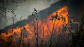 Madagascar : incendie ravageur au parc national Ranomafana