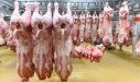 Abattoir - actualité France