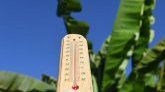 Espagne : une vague de chaleur suffocante frappe le pays avec des températures jusqu'à 45,6°C