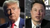 Donald Trump - Elon Musk