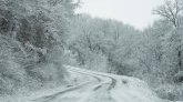 Une violente tempête de neige s'abat sur le Japon