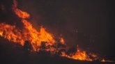 Turquie : des feux de forêts causent 5 décès et plusieurs blessés