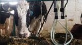 Consommation : vers une nouvelle hausse du prix du lait