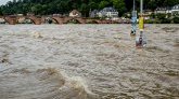 Allemagne : une femme est restée pendant 60 heures sur un arbre pour échapper aux inondations 
