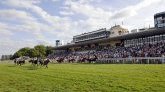 Deauville : décès d'un cheval en pleine course