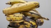 La préfecture de Martinique alerte sur une nouvelle fraude à l'éthéphon sur les bananes jaunes